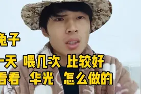 兔子一天喂几次比较好，如果不知道，看看华光怎么做的视频封面