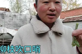 霞表妹:清明节插柳条，煮鸡蛋，大家知道柳条还可以治病吗，视频封面