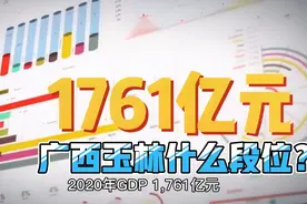 广西制定2035年远景目标，玉林怎么定位？视频封面