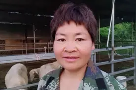 两种牧草，羊到底喜欢吃哪种呢，看我的羊吃草就知道了视频封面