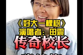 致敬感动中国人物—张桂梅校长，这才是真正的明星，民族之脊梁，视频封面