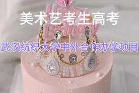 242美术艺考生武汉纺织大学中外合作办学项目介绍视频封面