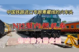 中国铁路进口专跑青藏线的内燃机车，NJ2型内燃机车，称为雪老美