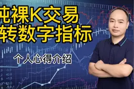纯裸K交易，九转数字指标有顶底，个人心得分享视频封面