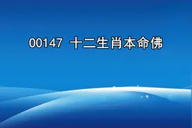 十二生肖本命佛广告录音词，守护神叫卖录音，本命佛语音广告音乐视频封面