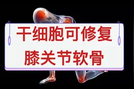 干细胞可修复膝关节软骨，干细胞移植，干细胞储存，干细胞疗法视频封面