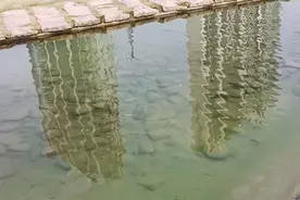 小溪清澈见底，鱼儿悠然自得，溪边绿草如茵，花儿竞相开放。视频封面