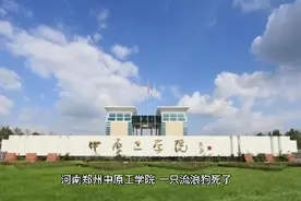 资深养狗人分析郑州中原工学院流浪狗大黄之死，人为投毒几率不大视频封面