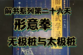 内家拳之根本：桩法——整劲之功法视频封面
