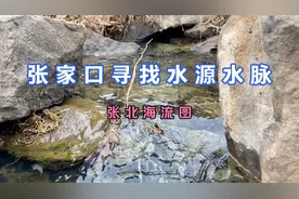 寻找水源水脉今天来的张家口张北海流图水库，北面这个沟里有水流视频封面
