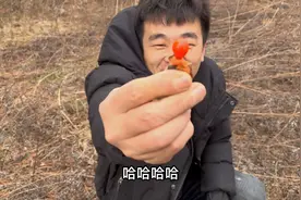 林区开春以后基本就不用买菜了 婆婆丁就像八爪鱼 有种赶海的感觉视频封面