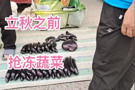 冻茄子豆角，最好赶在立秋之前，秋后茄子皮厚生疤，豆角罢园视频封面