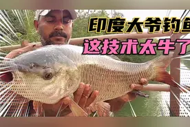 印度大爷钓鱼，看完就问你服不服！视频封面