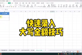 WPS快速录入大写金额技巧视频封面