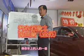 全保包含什么险种？车损险，盗抢险，玻璃险，自燃险已经在内