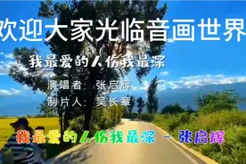 （我最爱的人伤我最深）完整版视频封面