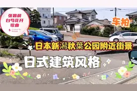 开车去日本新潟秋葉公园，看附近街景，听张碧晨的歌曲白芍花开视频封面