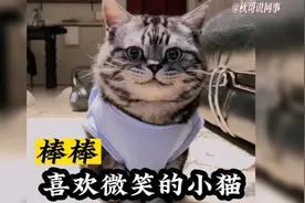 小猫天生长着一张笑脸，看着极具喜感。网友：比我奶笑的都要慈祥视频封面