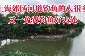 上海郊区河道钓鱼的人很多，刚来就钓到了鱼，又一免费钓鱼好去处视频封面