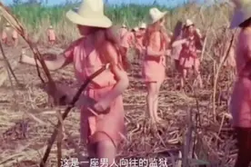 这是一座关押无数美女的监狱，大家知道片名不视频封面