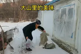 东北山村邻里关系有多好？要一颗冻白菜非得给4个，城里人羡慕吗视频封面