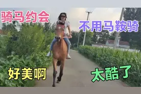 看看这马怎么样，美女竟然不用马鞍都可以骑的如此帅气，太厉害了视频封面
