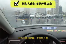 倒车入库，与找车身摆正平行线分享视频封面