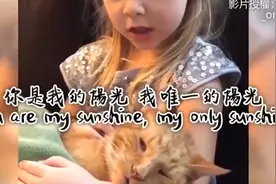 动物有情！猫咪临终前26秒奋力道別， 泪眼望主人后离开。视频封面