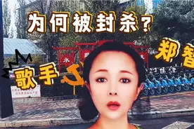 爱国歌手郑智化为何被封杀？视频封面