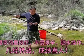 潘哥河里捞虾，不畏水凉，蹚水操作，几经转战，收获喜人。视频封面