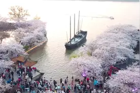 郭沫若诗曰：太湖佳绝处，毕竟在鼋头～太湖鼋头渚樱花盛放大赏视频封面