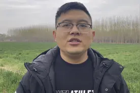 农民注意了！下雨过后，小麦一定要做好这两件事视频封面