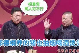 爆笑相声：《郭德纲养的猪也抽烟喝酒烫头》郭德纲 于谦视频封面