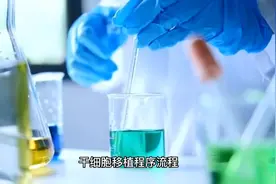 造血干细胞移植的流程及成功率（结尾）