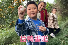 城市小朋友体验农村生活，一大早体验捡鸭蛋，简直太开心了视频封面