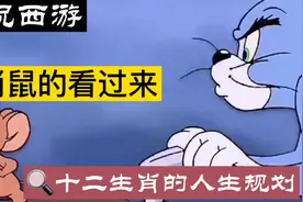 生肖鼠最适合的职业视频封面