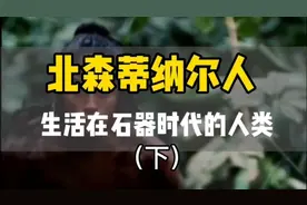 北森蒂纳尔人生活在十七人时代的人类（下）视频封面