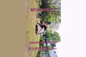 全网让人看着最舒服的骑行自媒体博主—陶三丰。多才多艺很真实。