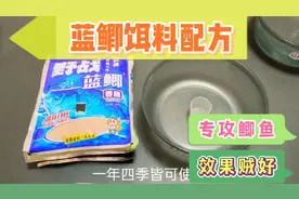 比老三样还好用的蓝鲫饵料配方，专攻鲫鱼，一年四季鱼获都不差