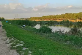 北京小清河野钓好地方，小奶鲫连杆，就是鱼小点口是真好视频封面