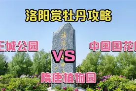 洛阳赏牡丹去哪个公园？小伙亲测3大牡丹园，这条攻略一定要看！视频封面