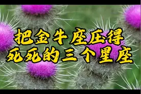 把金牛座压得死死的三个星座惹不起躲不掉，哪个星座有这么大能耐视频封面