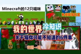 我的世界关于猫你可能不知道的6件事，猫可以免疫摔落伤害？