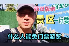 西双版纳景区什么样人能免门票游览，旅游买门票省钱方法视频封面
