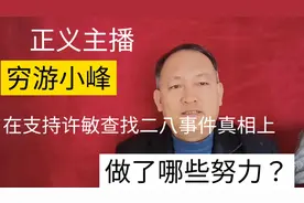 正义主播穷游小峰，在支持许敏查找二八事件真相上做了哪些努力？视频封面