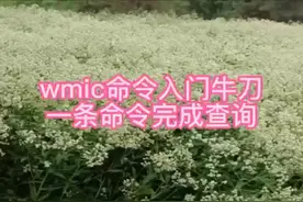 wmic命令入门之小试牛刀