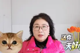 贾梅和军姐的粉丝都冷静冷静，请劝他们理性处理问题。视频封面