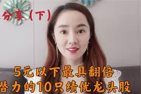 A股 5元以下最具翻倍，潜力的10只绩优龙头公司（建议收藏）视频封面