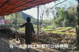 黑龙江夫妇在金盆山的养老生活，2000平方的菜地，任他们耕种视频封面