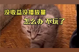 《张同学》火了  我还没通过中视频  不行退了视频封面